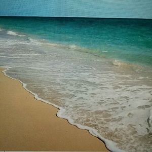 Meet your Posher, Dawn